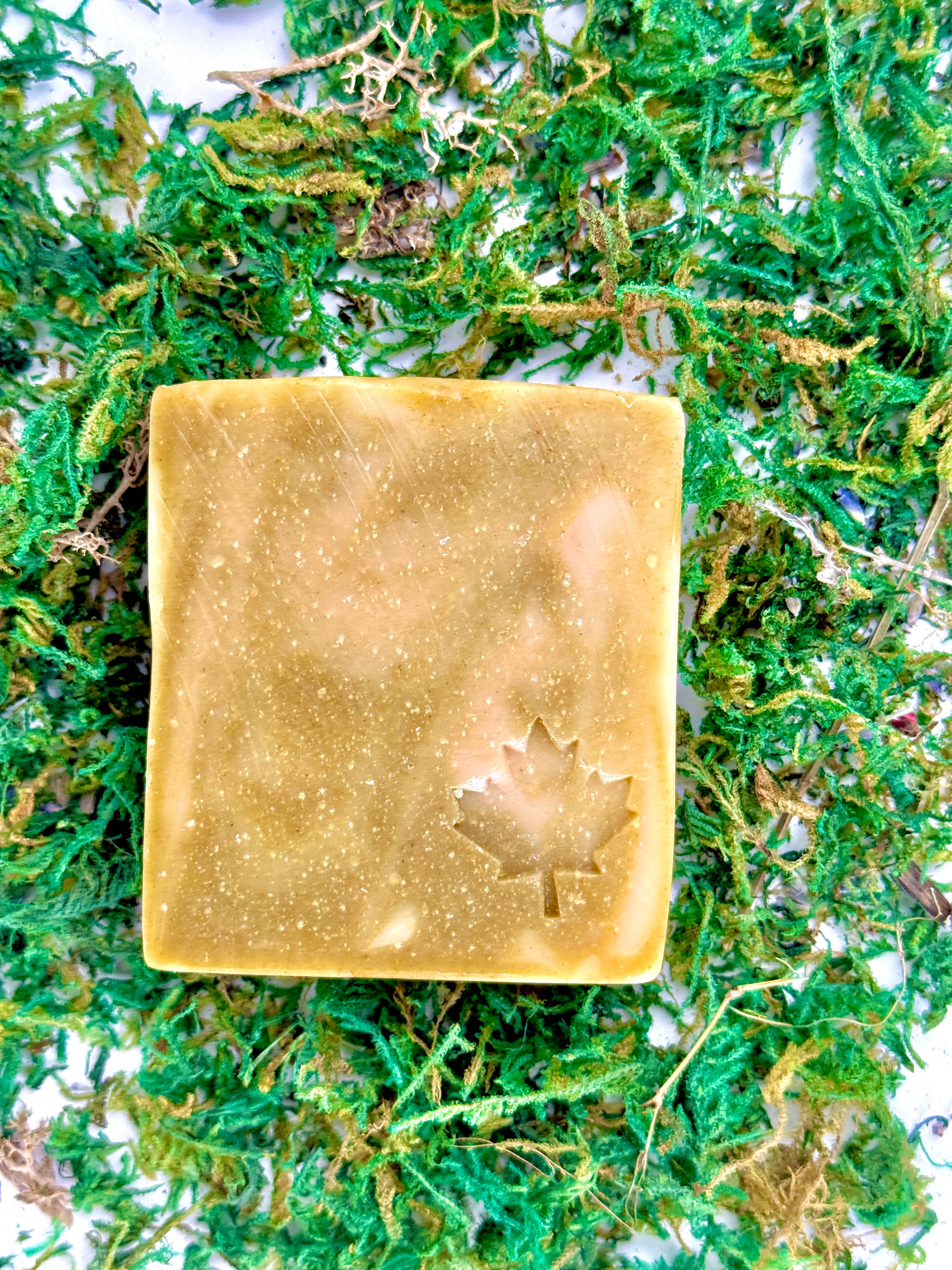 Lime Aloe Bar 120 g