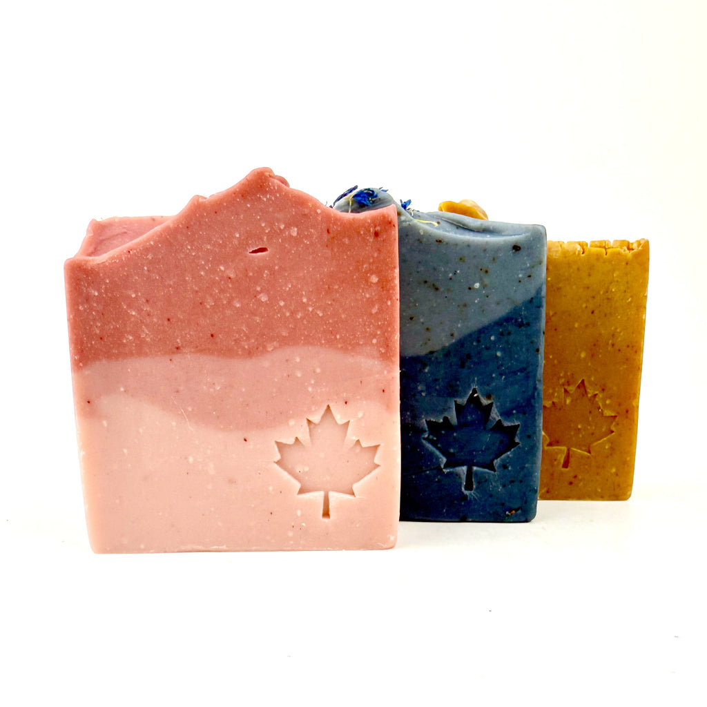 Plant-Based Gift Set